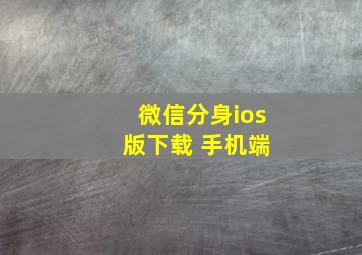 微信分身ios 版下载 手机端